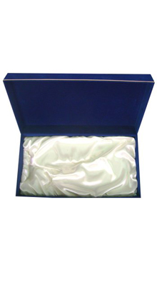 Case for Monstrance ''Angel''